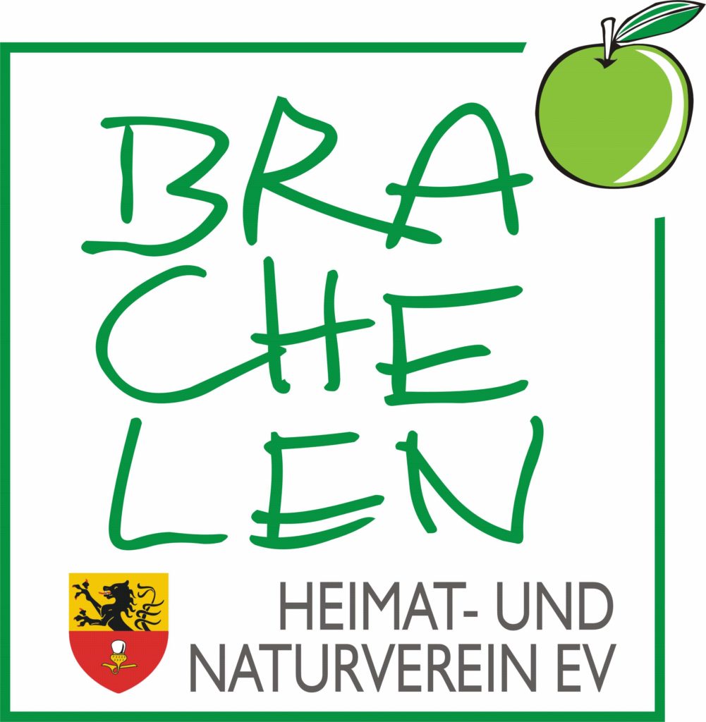 Brachelen_Vektor