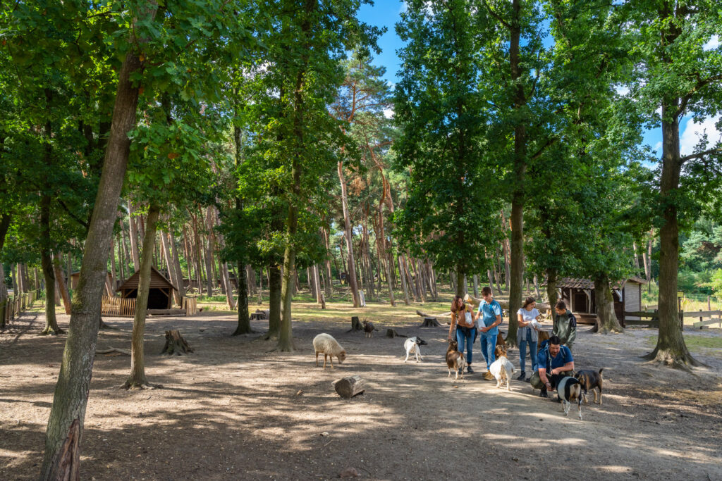 Gangelt-Wildpark-NiederrheinTourismus-©PatrickGawandtka_NRT07546_lowres